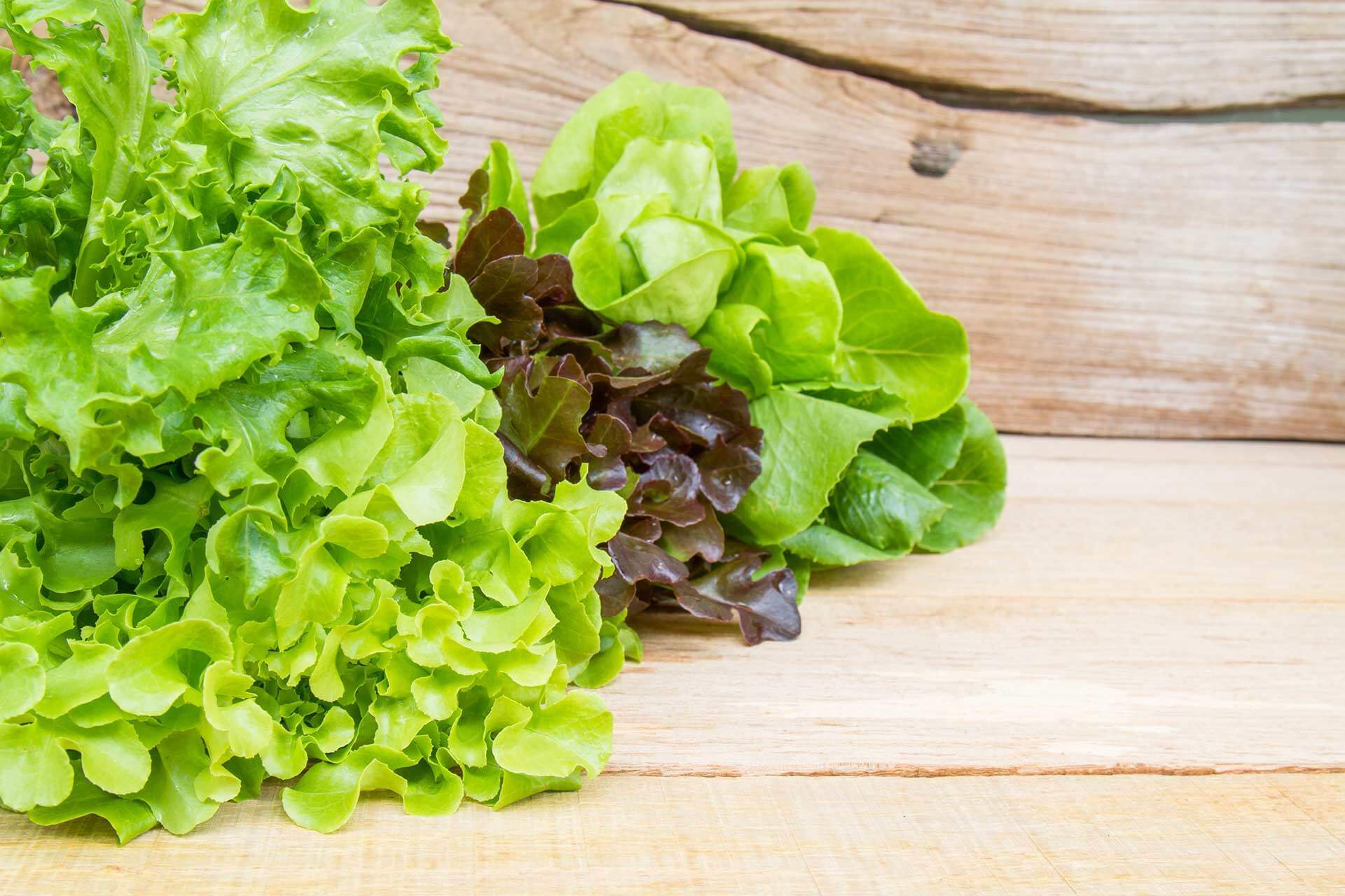 Zelena salata koliko je zdrava